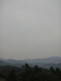 c0189724_202974.jpg