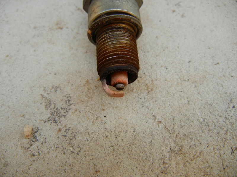 b0170826_20491672.jpg