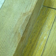 d0048332_2130825.gif