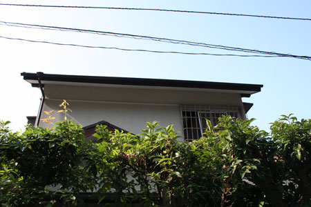 a0059233_1656319.jpg
