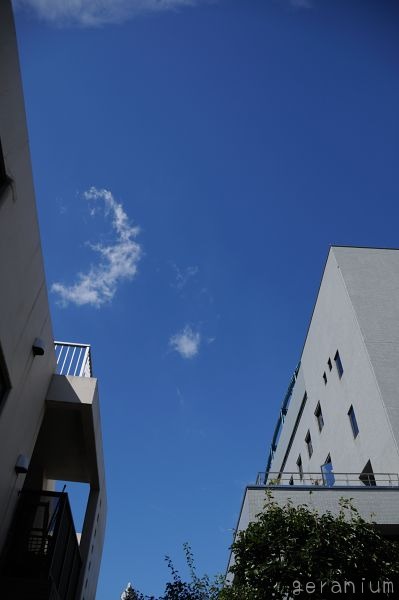c0133533_21114245.jpg