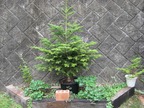 f0061334_21194624.jpg
