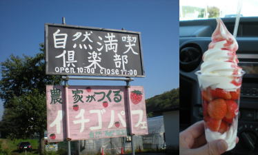 b0001440_1430408.jpg