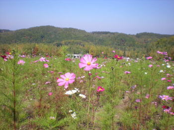 b0001440_14321665.jpg