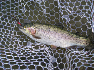 f0065341_1418772.jpg