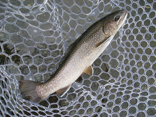 f0065341_144630.jpg