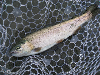 f0065341_1463215.jpg