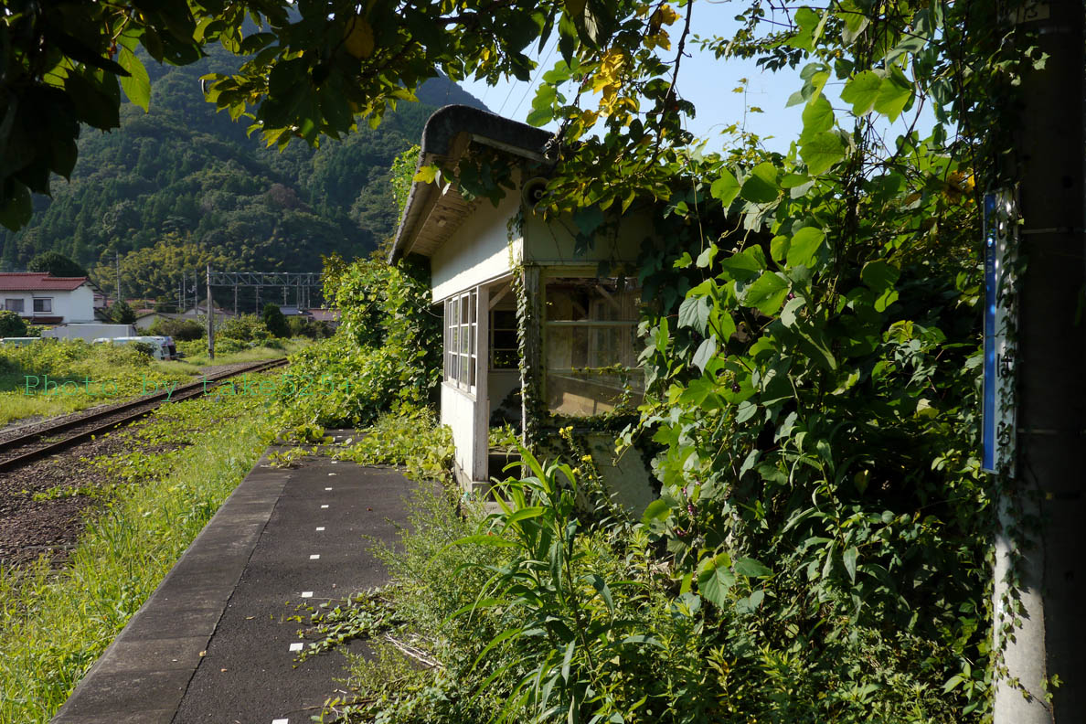 a0116946_21354732.jpg