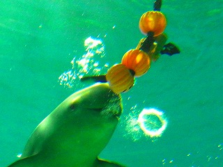 c0171349_10222372.jpg