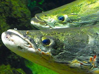 c0171349_10235057.jpg