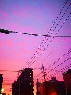 c0171349_10293027.jpg