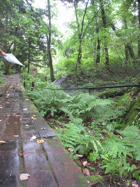 c0043751_3134362.jpg
