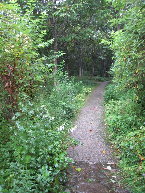 c0043751_3135316.jpg
