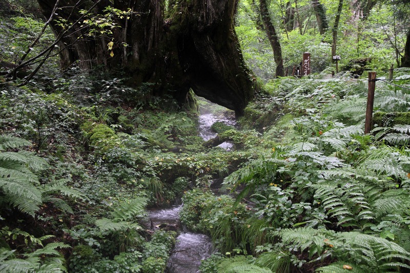 c0043751_333549.jpg