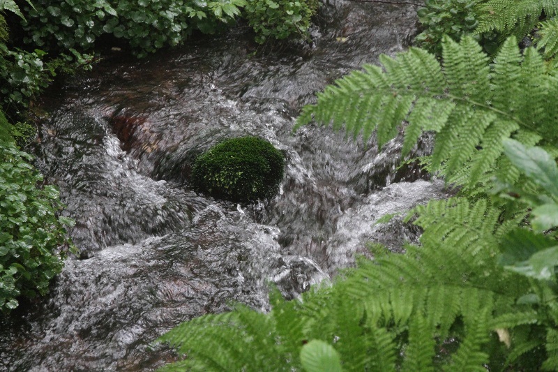 c0043751_334041.jpg