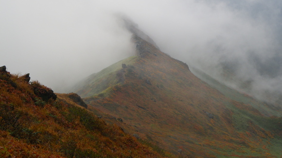 e0070552_23413998.jpg