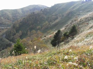 a0189255_1165595.jpg