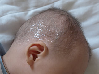 b0054956_17575972.jpg