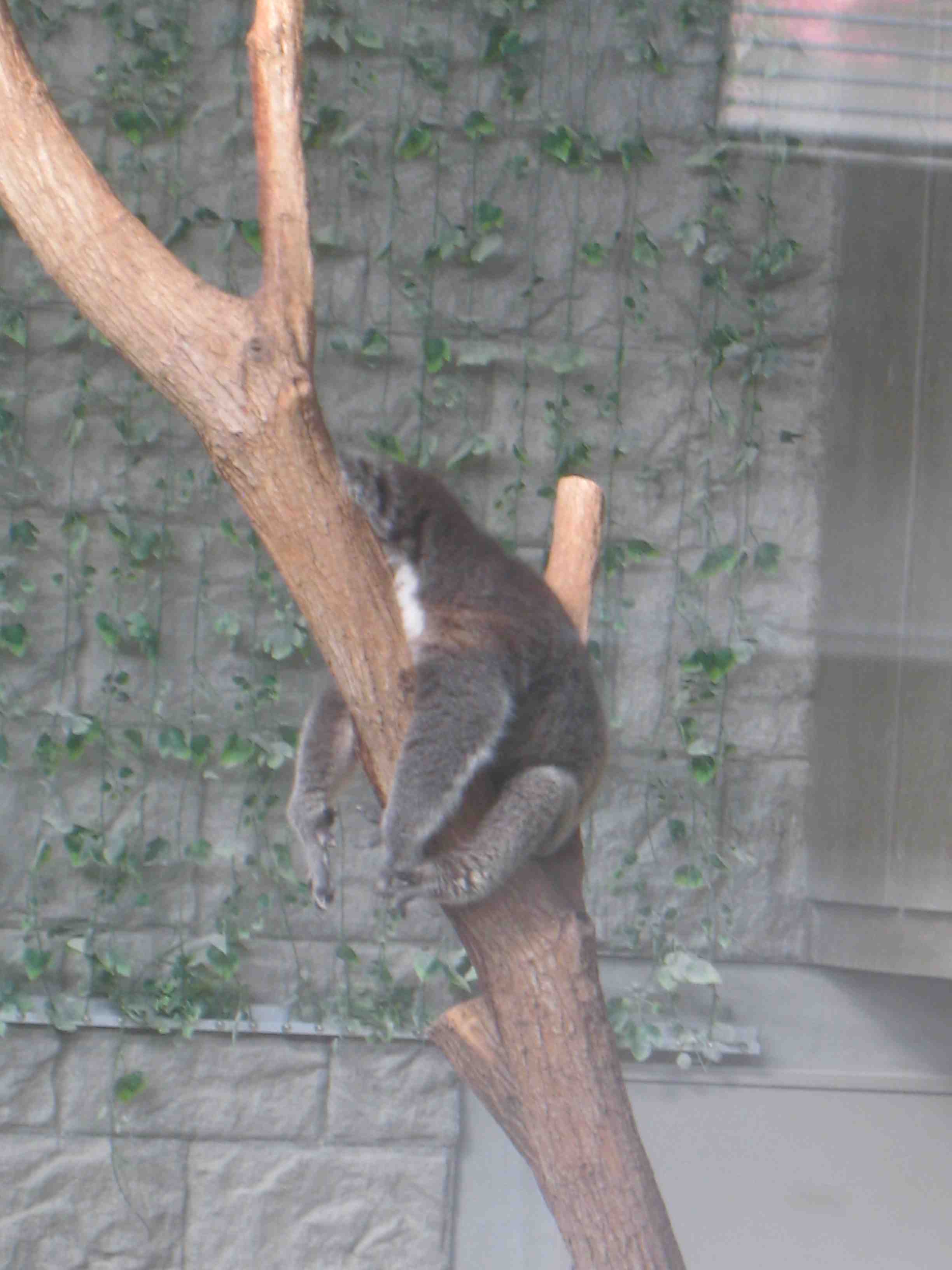 f0233356_22103597.jpg