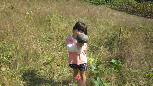 a0186159_14363268.jpg