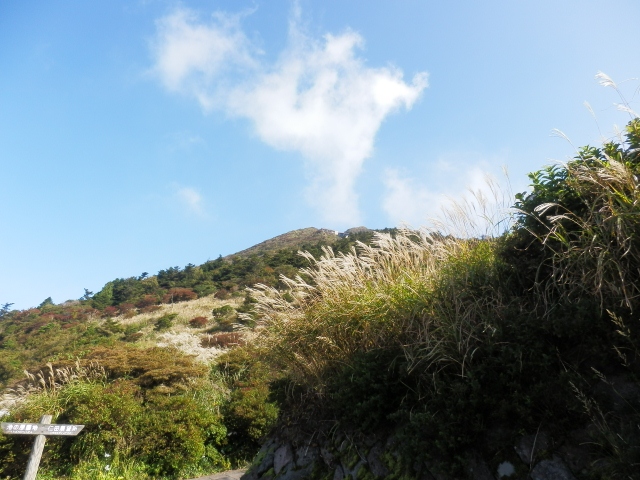 c0042869_20285831.jpg
