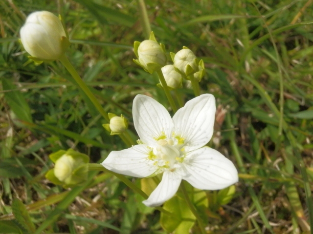 c0042869_2042203.jpg