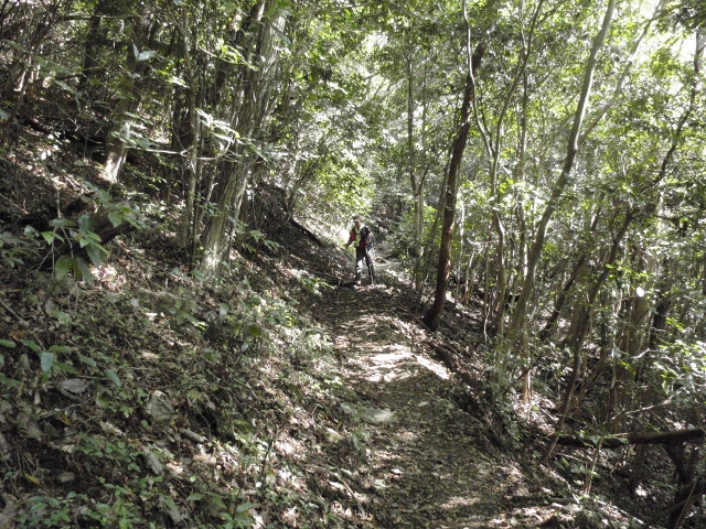 c0042869_9124588.jpg