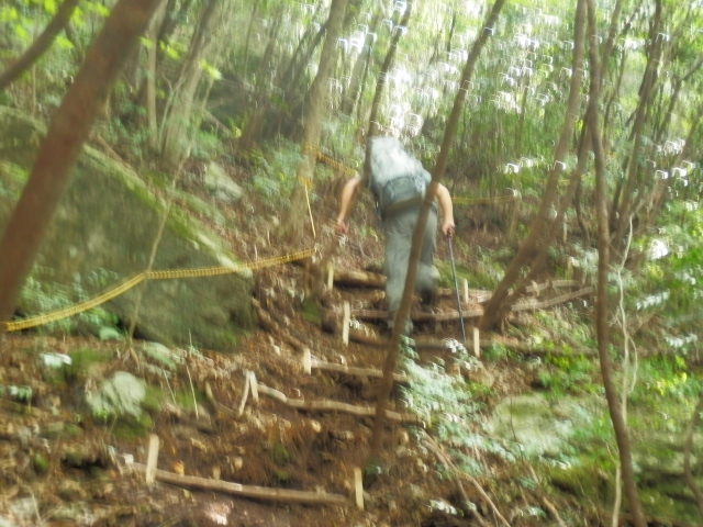 c0042869_9144288.jpg