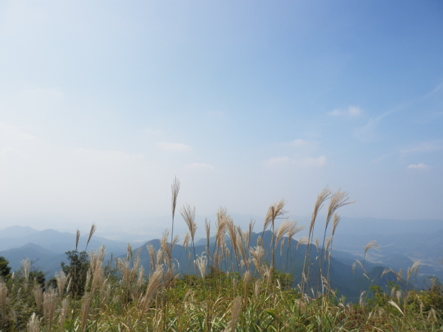c0042869_921964.jpg