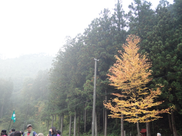 a0038370_2227875.jpg