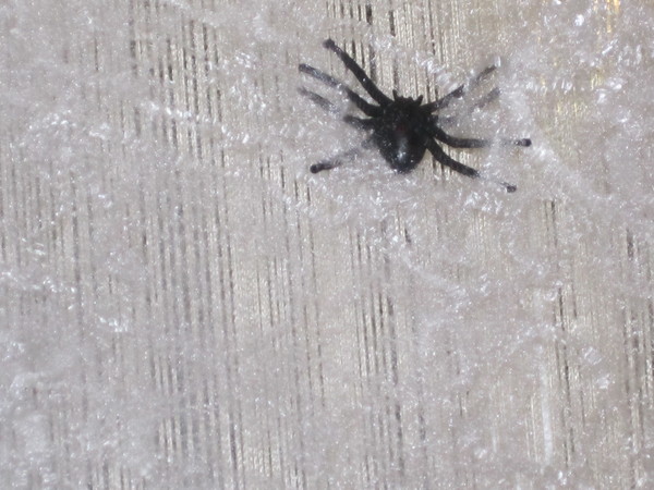 e0204576_14461167.jpg