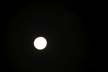 f0054677_8115317.jpg