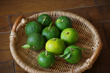 f0054677_8125561.jpg