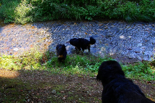 c0149178_17164051.jpg