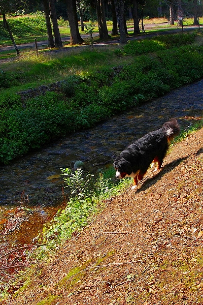 c0149178_1718276.jpg