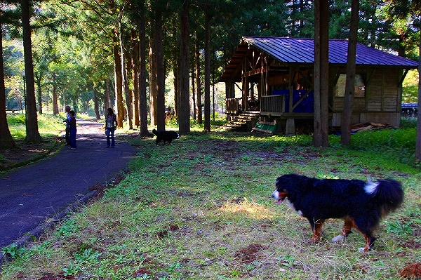 c0149178_17184774.jpg