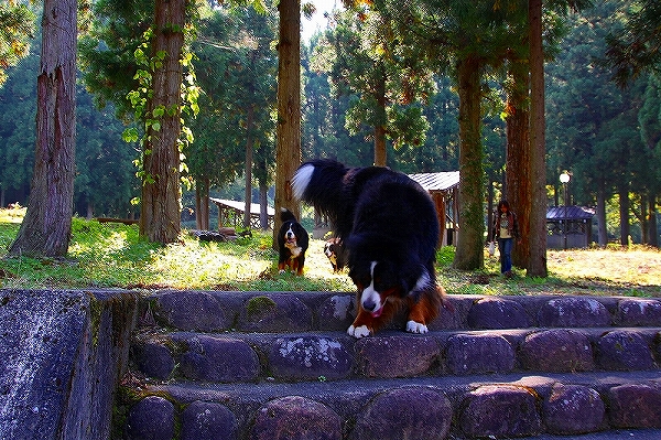 c0149178_17205737.jpg