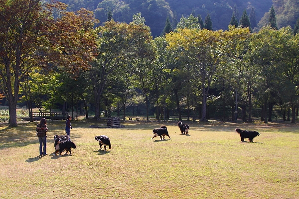 c0149178_17344877.jpg