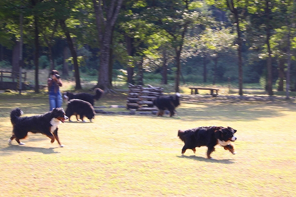 c0149178_1737393.jpg