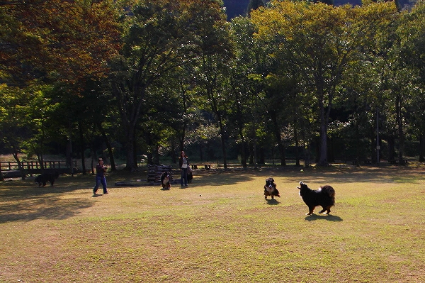 c0149178_1738798.jpg