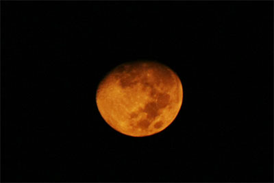 c0152779_1922739.jpg