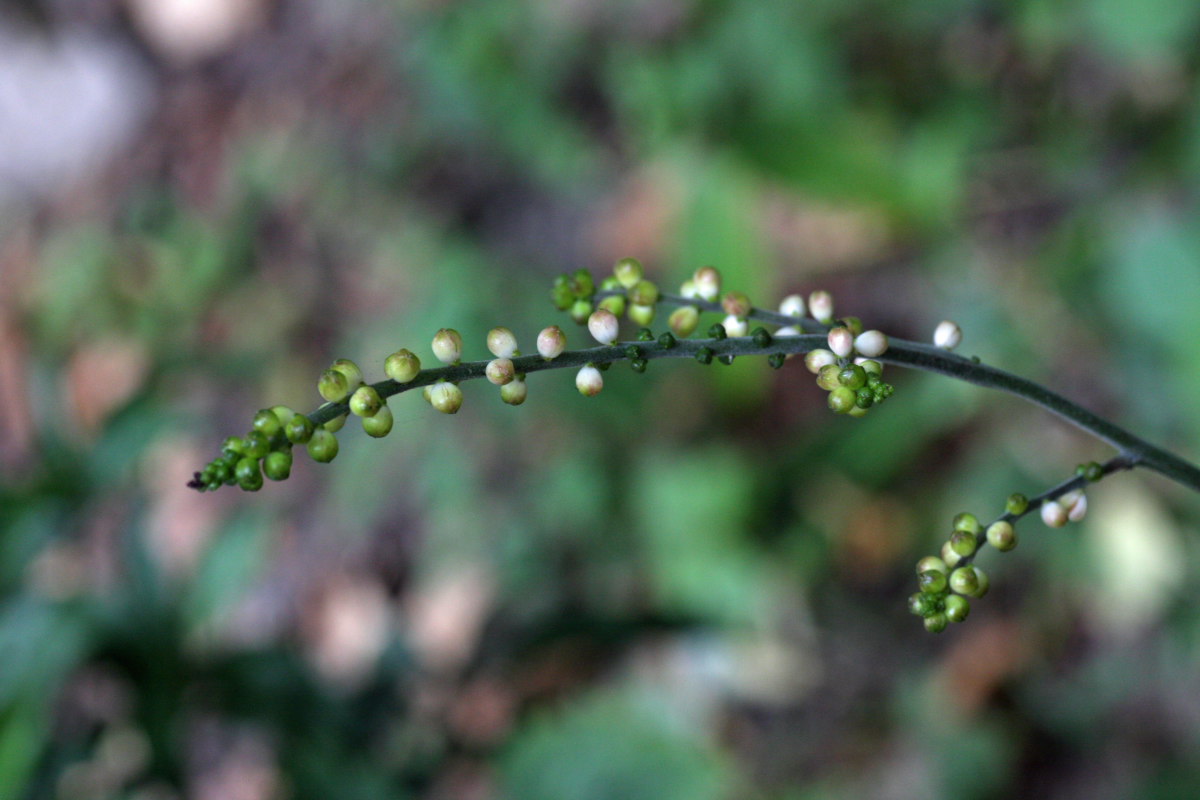 a0083081_1784625.jpg
