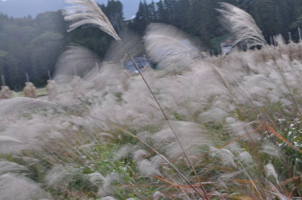 d0164783_23352077.jpg
