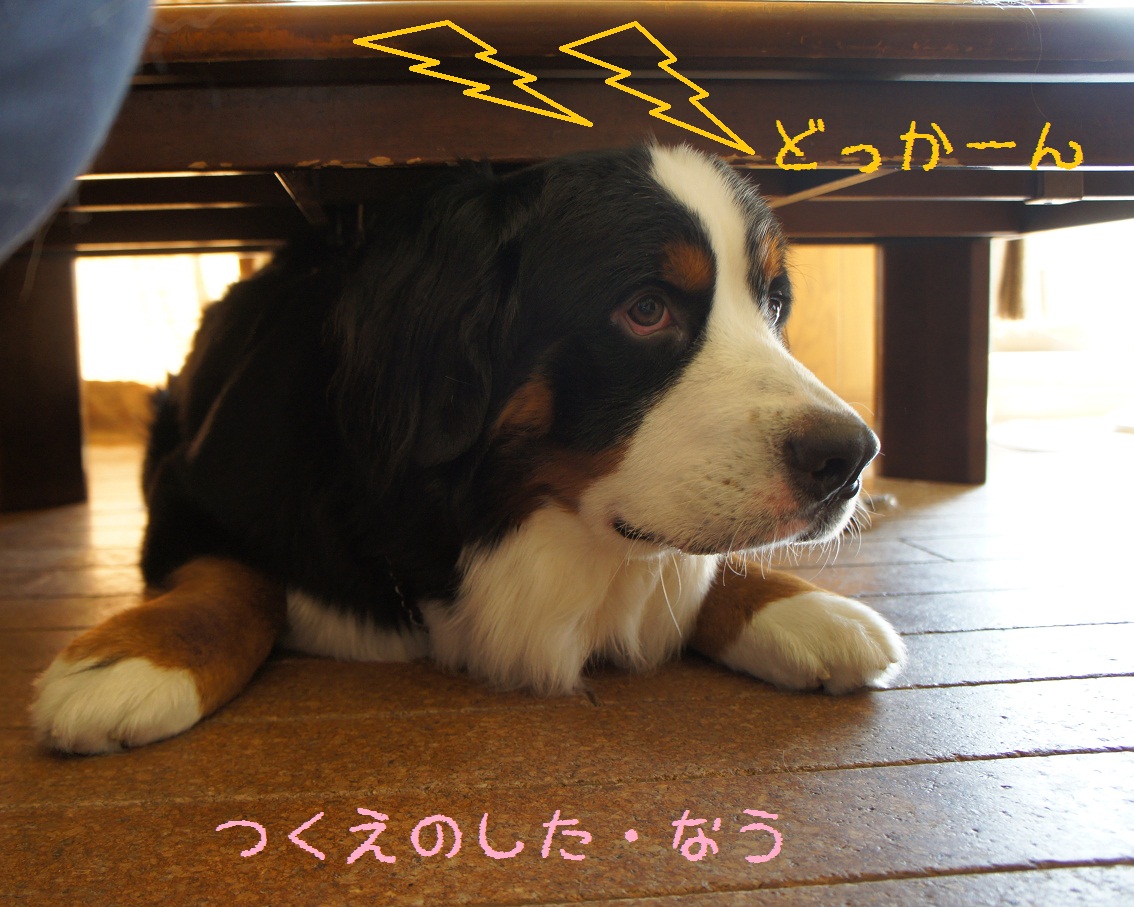 d0065484_0441295.jpg