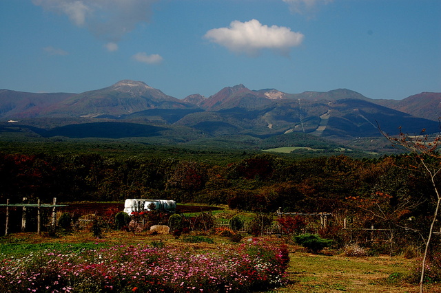 b0203588_10342035.jpg