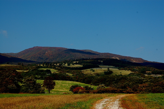 b0203588_10352283.jpg