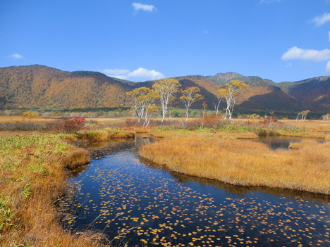 f0117892_1558165.jpg