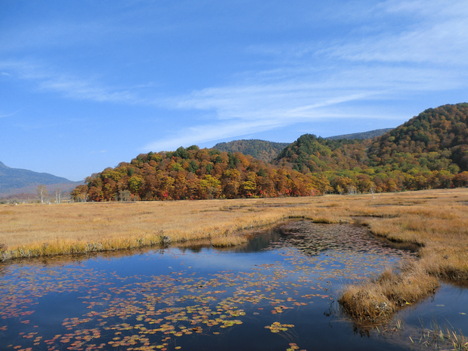 f0117892_16113785.jpg