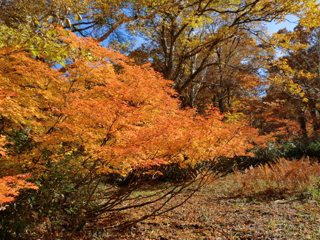 f0117892_16131011.jpg