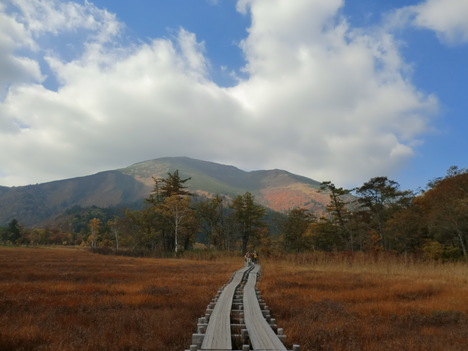 f0117892_1675342.jpg